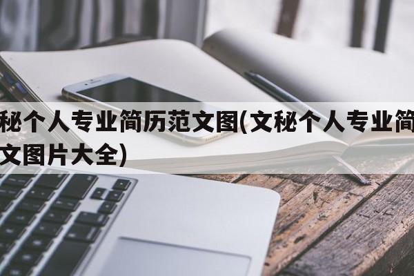 文秘个人专业简历范文图(文秘个人专业简历范文图片大全)